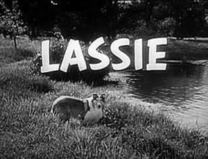 lassie_logo